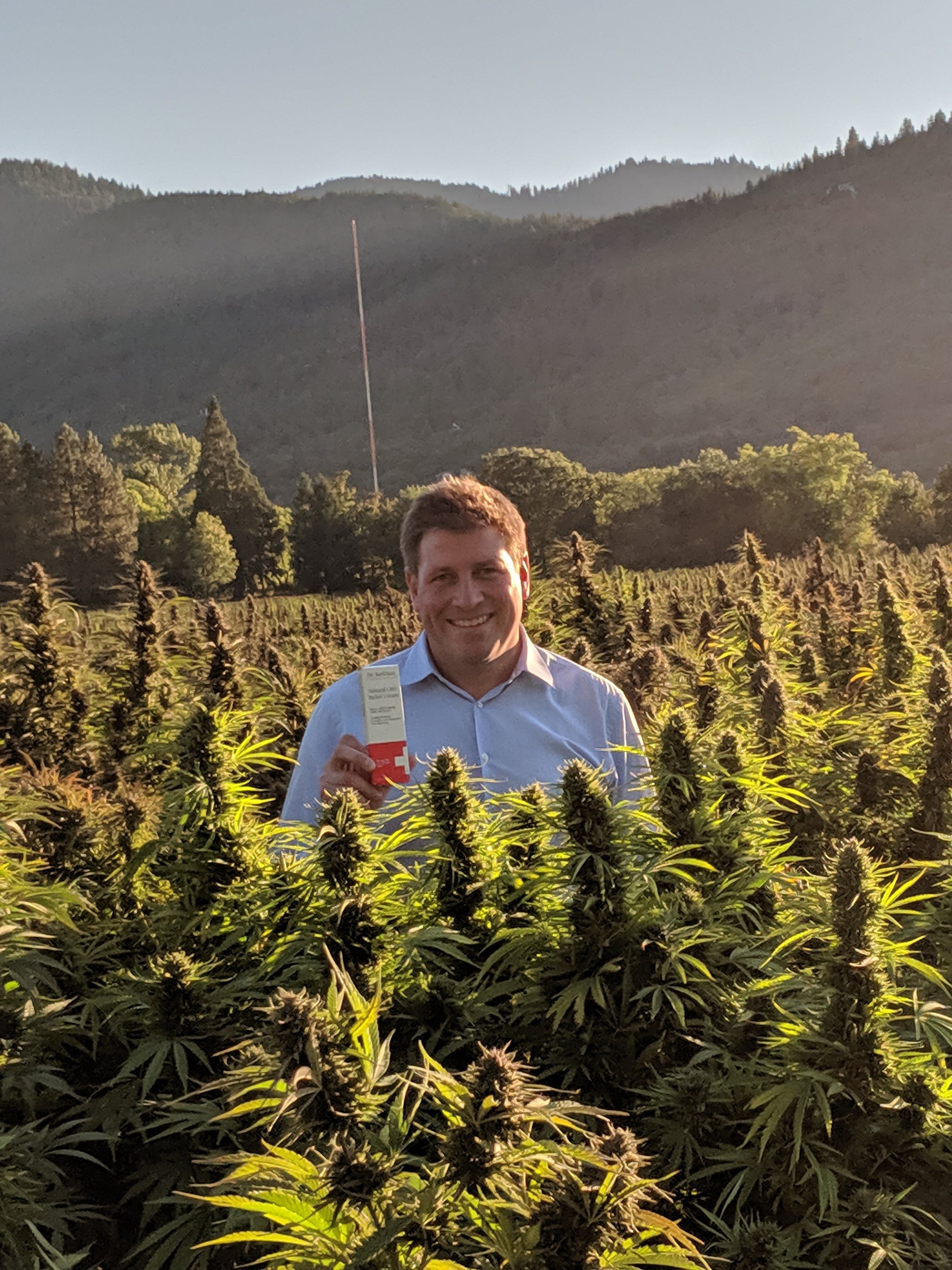 Dr. Kerklaan CBD Hemp Field - CBD vs. THC: Understanding these Totally Different Compounds
