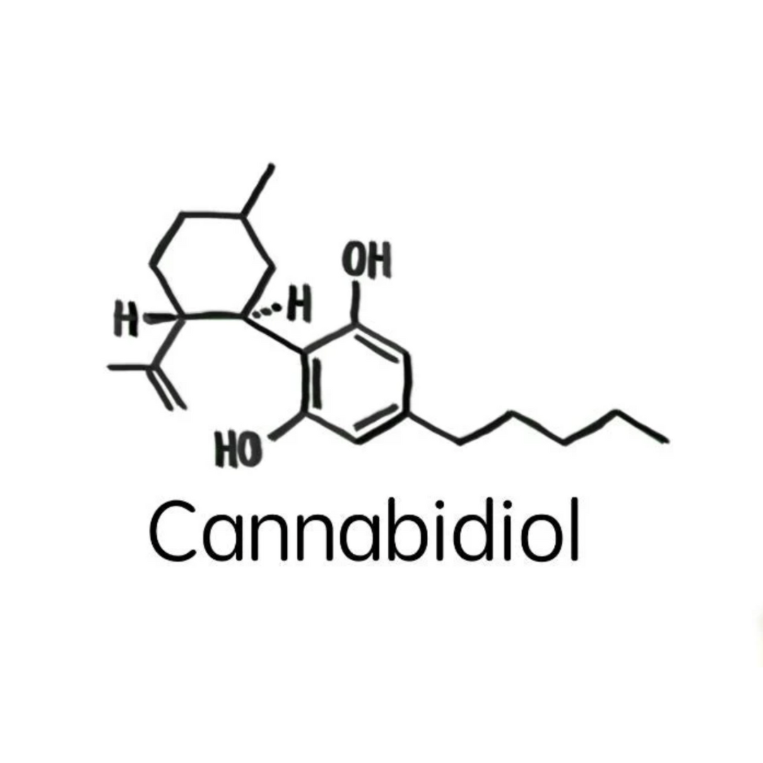 CBD History: Ancient Use, Modern Science, and Future Potential
