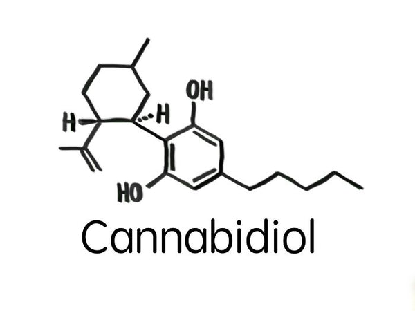 Learn more about the History of CBD