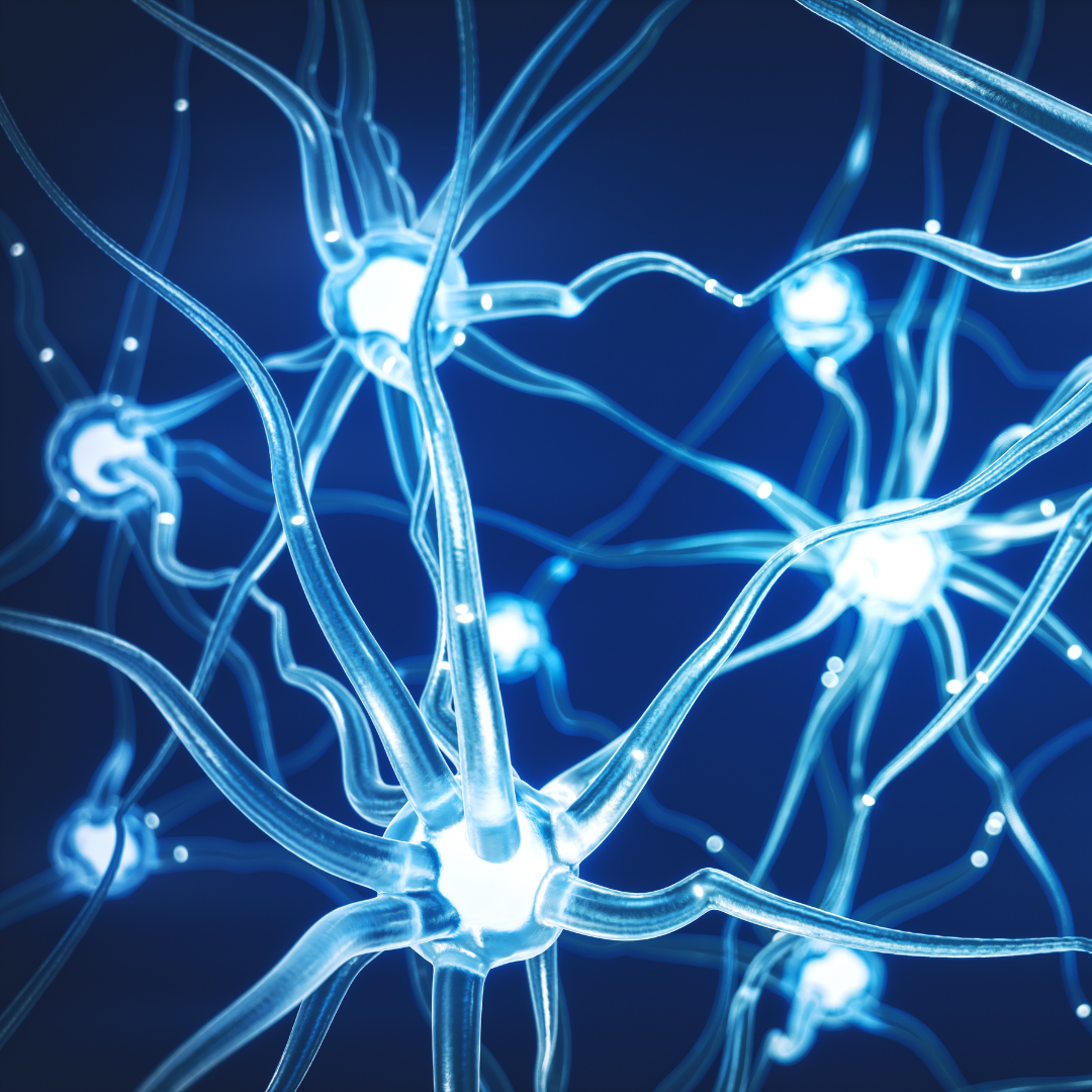 3D illustration of a glowing neural network, representing the Endocannabinoid System (ECS) and its role in regulating balance, mood, and overall health.