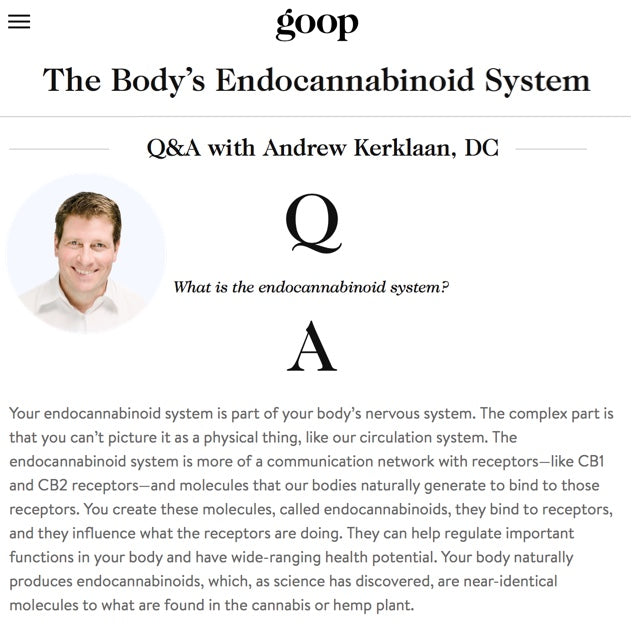 GOOP Q&A with Dr. Kerklaan on The Body's Endocannabinoid System