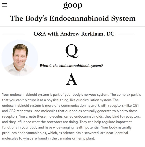 GOOP Q&A with Dr. Kerklaan on The Body's Endocannabinoid System